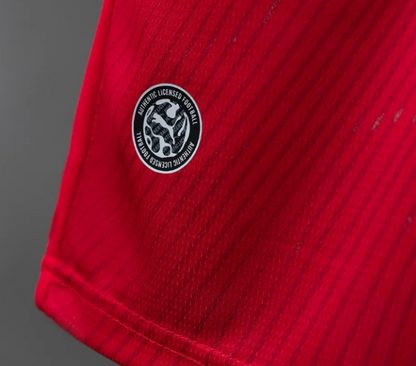 Switzerland 2026 Home Kit